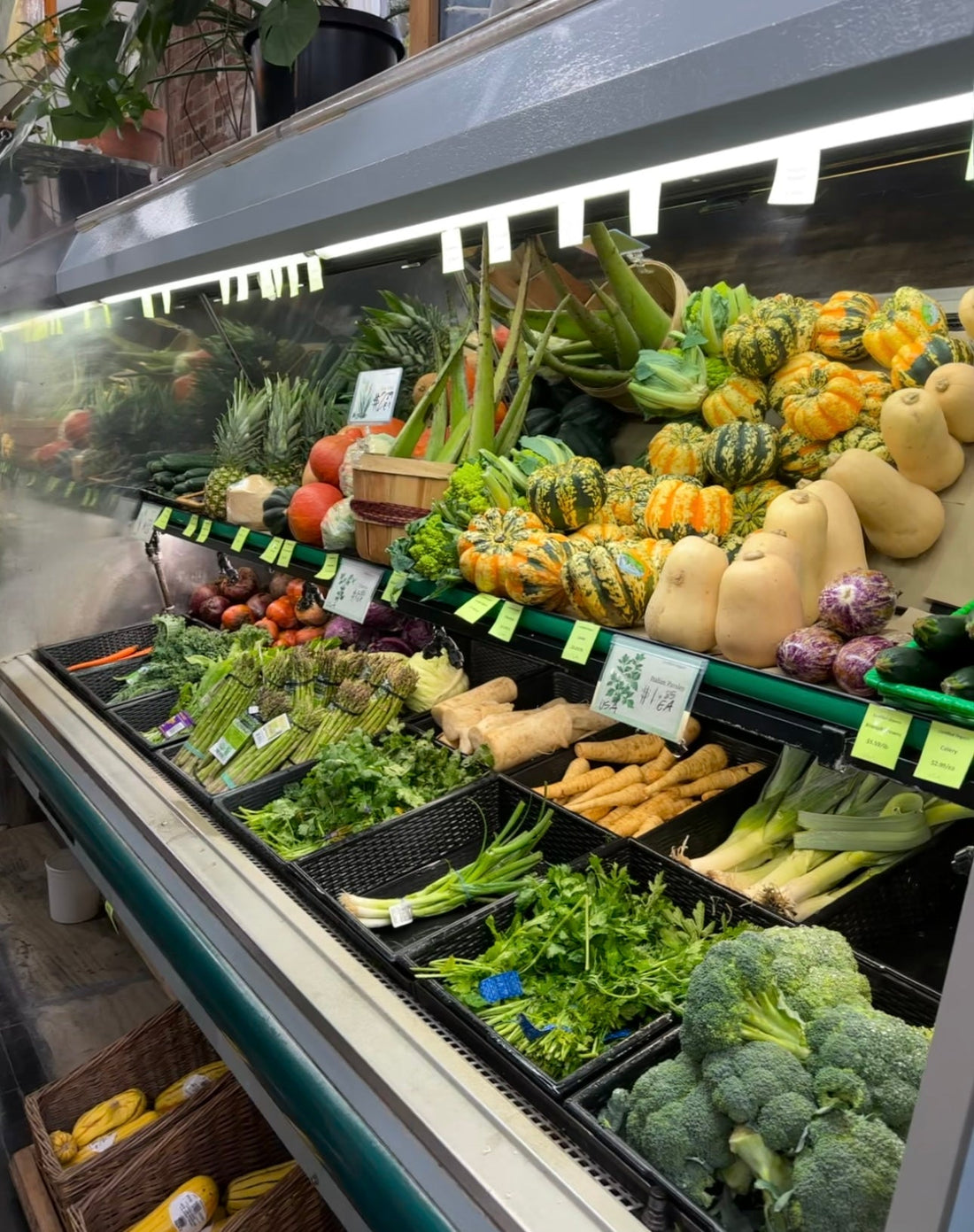 Ultimate Guide to a Body Recomposition