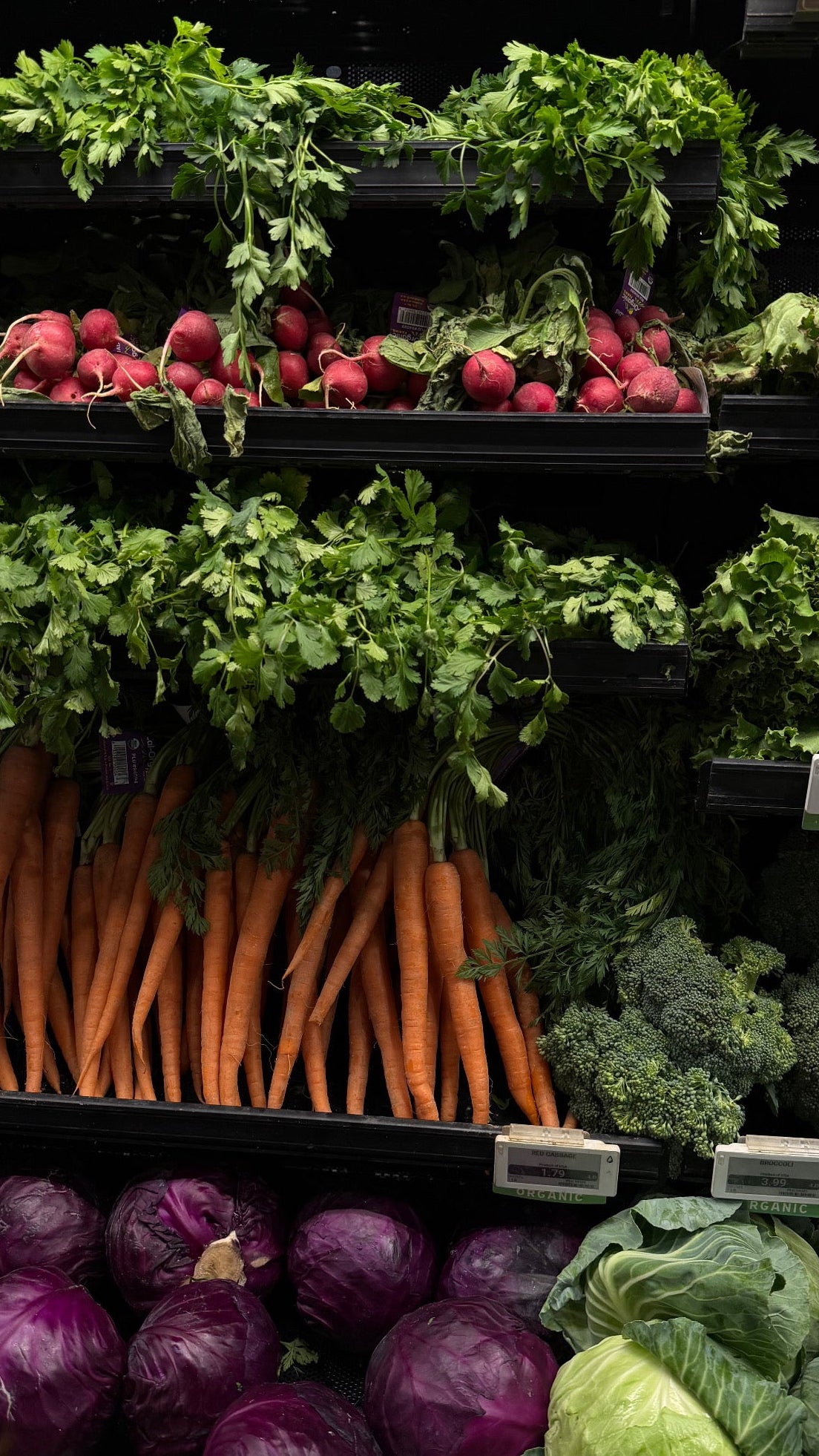 Display of fresh vegetables including carrots, lettuce, and beets in a grocery store.